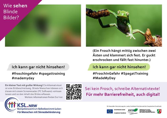 Vorschau des Posters Wie sehen Blinde Bilder? mit dem gleichen Bild einmal unscharf ohne Alternativtext abgebildet und daneben einmal das Foto eines Frosches scharf mit Alternativtext abgebildet. Mit Link zur vergrößerten Ansicht.
