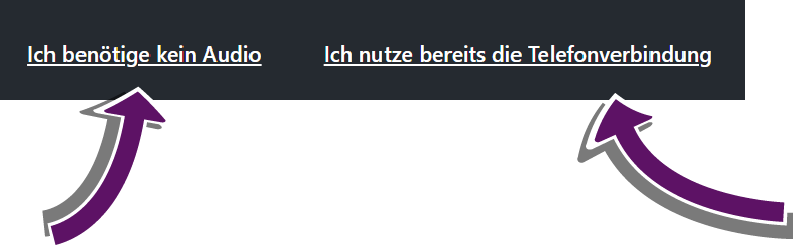 Bildschirmausschnitt mit Auswahl-Links: &bdquo;Ich ben&ouml;tige kein Audio&ldquo; oder &bdquo;Ich benutze bereits die Telefonverbindung&ldquo;