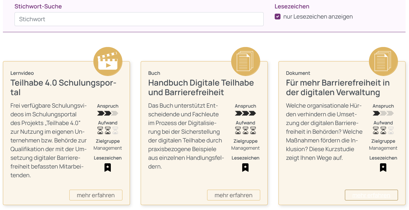 Screenshot der gewählten Tool-Filter Option nur Lesezeichen direkt nach dem Feld Stichwort-Suche. Darunter ein Ausschnitt der mithilfe von Lesezeichen markierten Tools im Kachelformat.