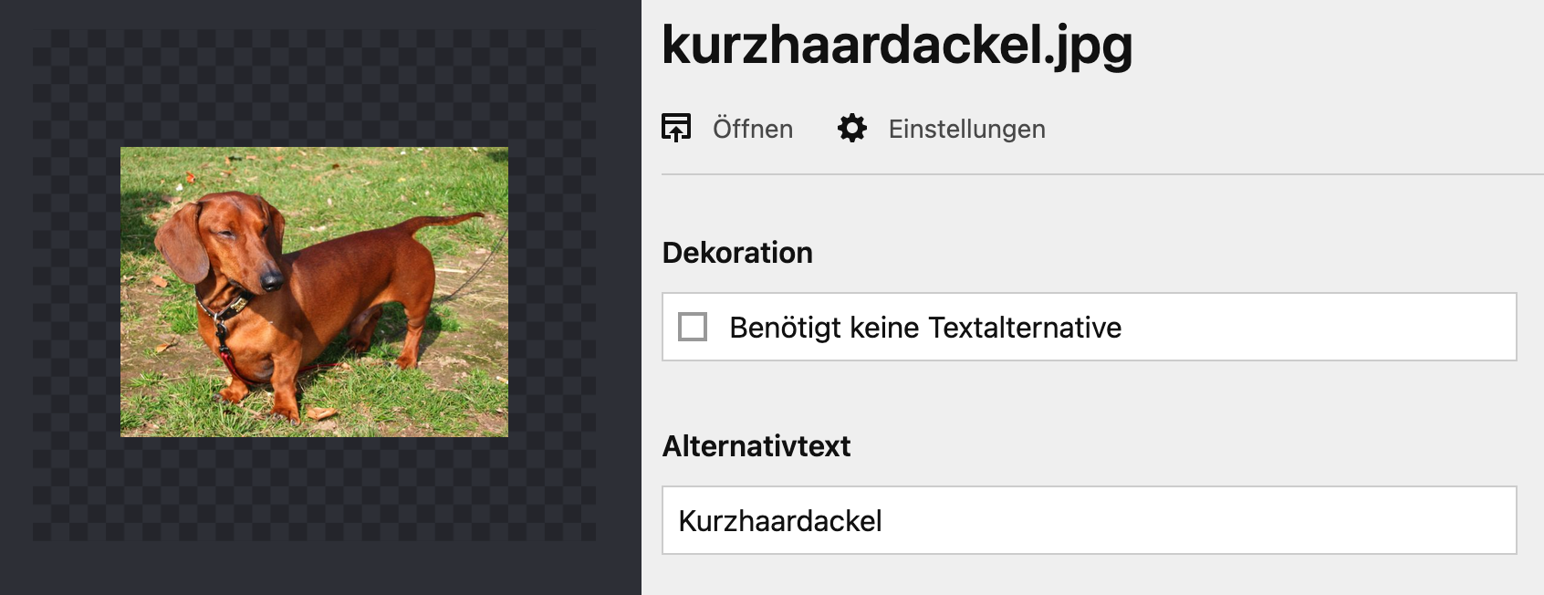 Beispiel: Eingabedialog f&uuml;r Textalternativen